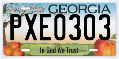 GA license plate PXE0303