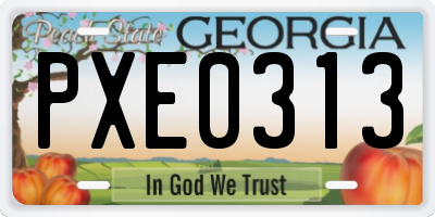 GA license plate PXE0313