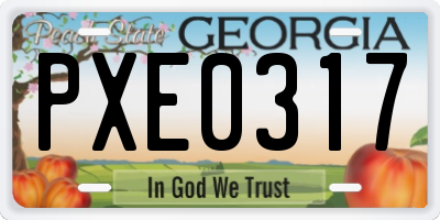 GA license plate PXE0317