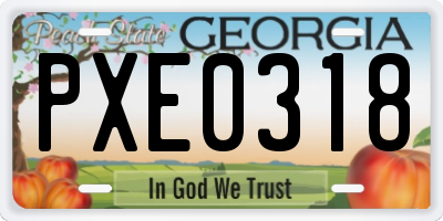 GA license plate PXE0318