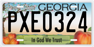GA license plate PXE0324