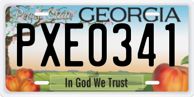 GA license plate PXE0341