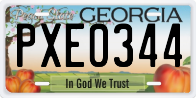 GA license plate PXE0344