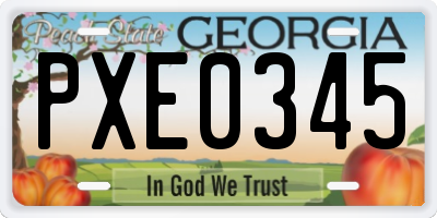 GA license plate PXE0345