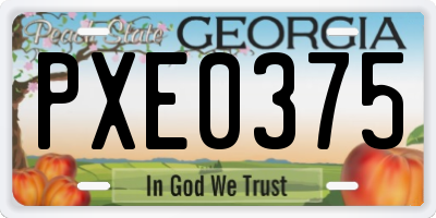 GA license plate PXE0375