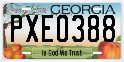 GA license plate PXE0388