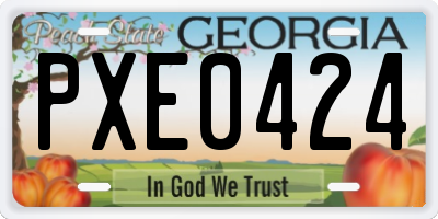 GA license plate PXE0424