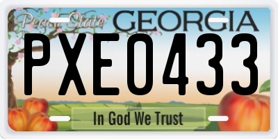 GA license plate PXE0433