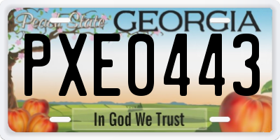 GA license plate PXE0443