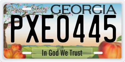 GA license plate PXE0445