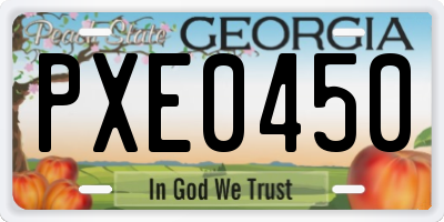 GA license plate PXE0450
