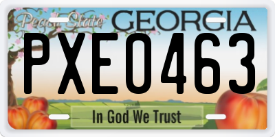 GA license plate PXE0463