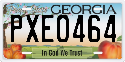 GA license plate PXE0464