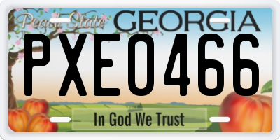 GA license plate PXE0466