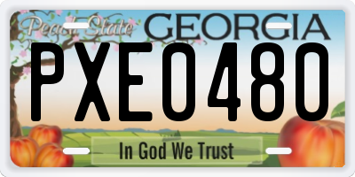 GA license plate PXE0480