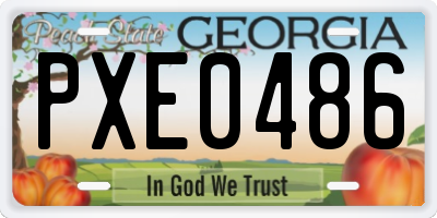 GA license plate PXE0486