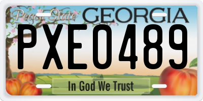 GA license plate PXE0489