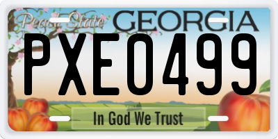GA license plate PXE0499