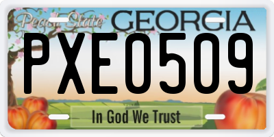 GA license plate PXE0509