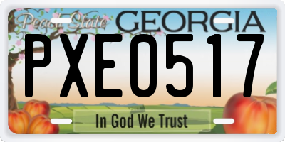 GA license plate PXE0517