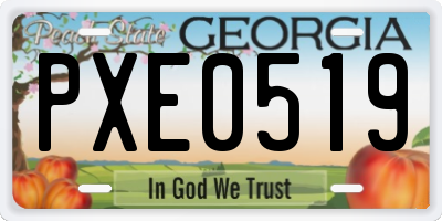 GA license plate PXE0519