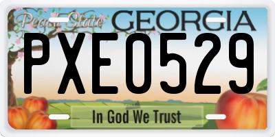 GA license plate PXE0529