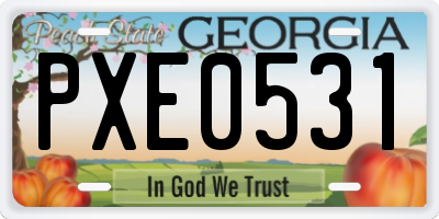 GA license plate PXE0531