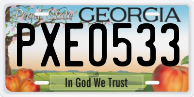 GA license plate PXE0533