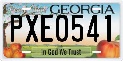 GA license plate PXE0541