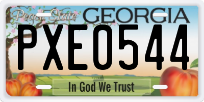 GA license plate PXE0544