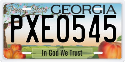 GA license plate PXE0545