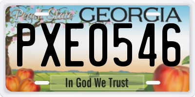 GA license plate PXE0546