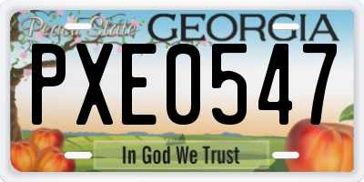 GA license plate PXE0547