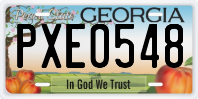 GA license plate PXE0548