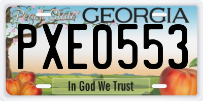 GA license plate PXE0553