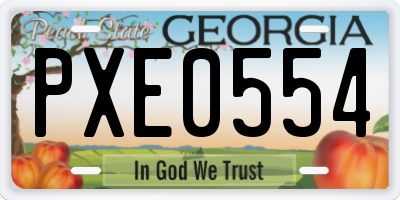 GA license plate PXE0554