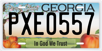 GA license plate PXE0557