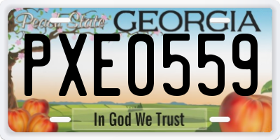 GA license plate PXE0559