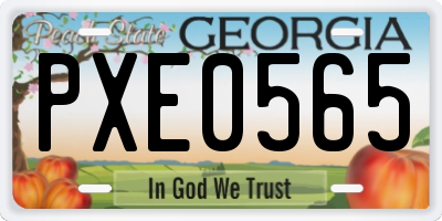 GA license plate PXE0565