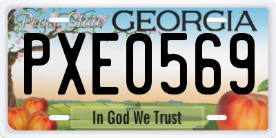 GA license plate PXE0569