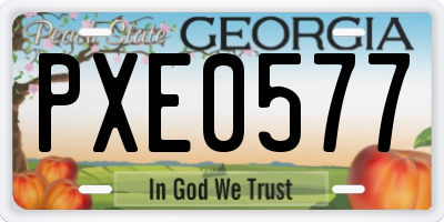 GA license plate PXE0577