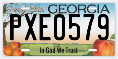 GA license plate PXE0579