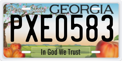 GA license plate PXE0583