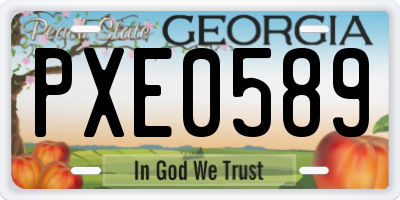 GA license plate PXE0589