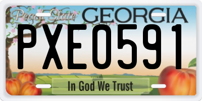 GA license plate PXE0591