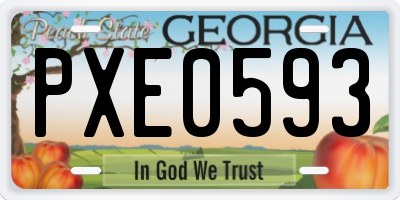 GA license plate PXE0593
