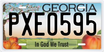 GA license plate PXE0595