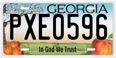 GA license plate PXE0596