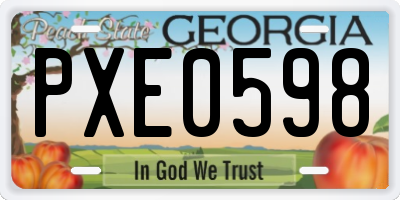 GA license plate PXE0598