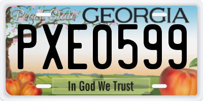 GA license plate PXE0599